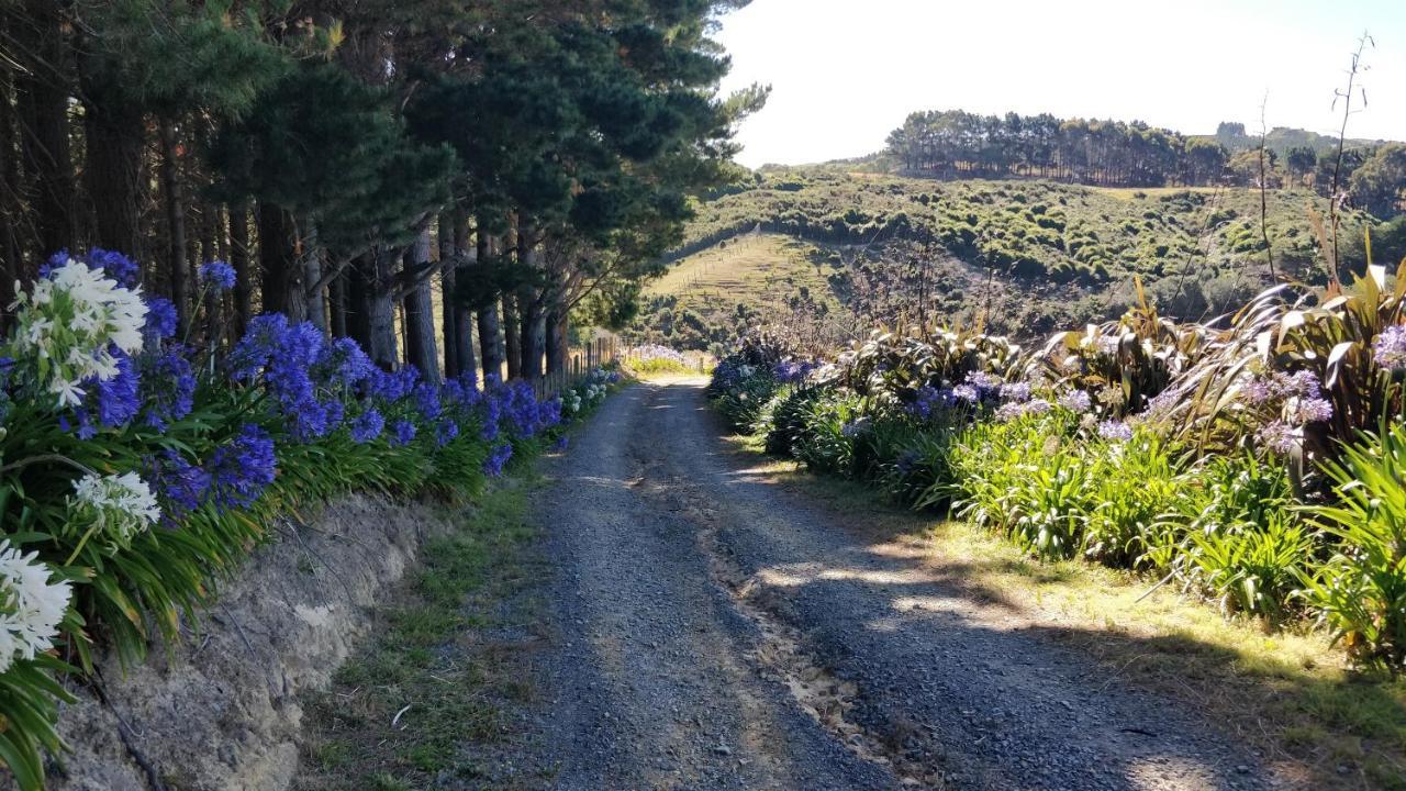 Hilltop Lodge Porirua Exteriér fotografie